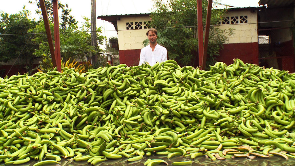 厄瓜多爾一處香蕉種植場一日所棄置的香蕉。　圖片來源：National Geographic 