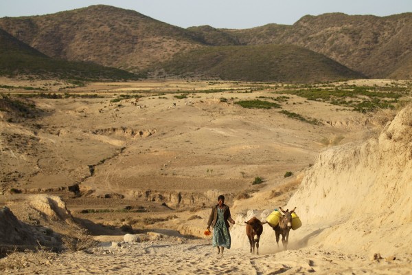 探訪經過的村落遍地荒蕪，只見往打水趕路中的兒童和驢仔。