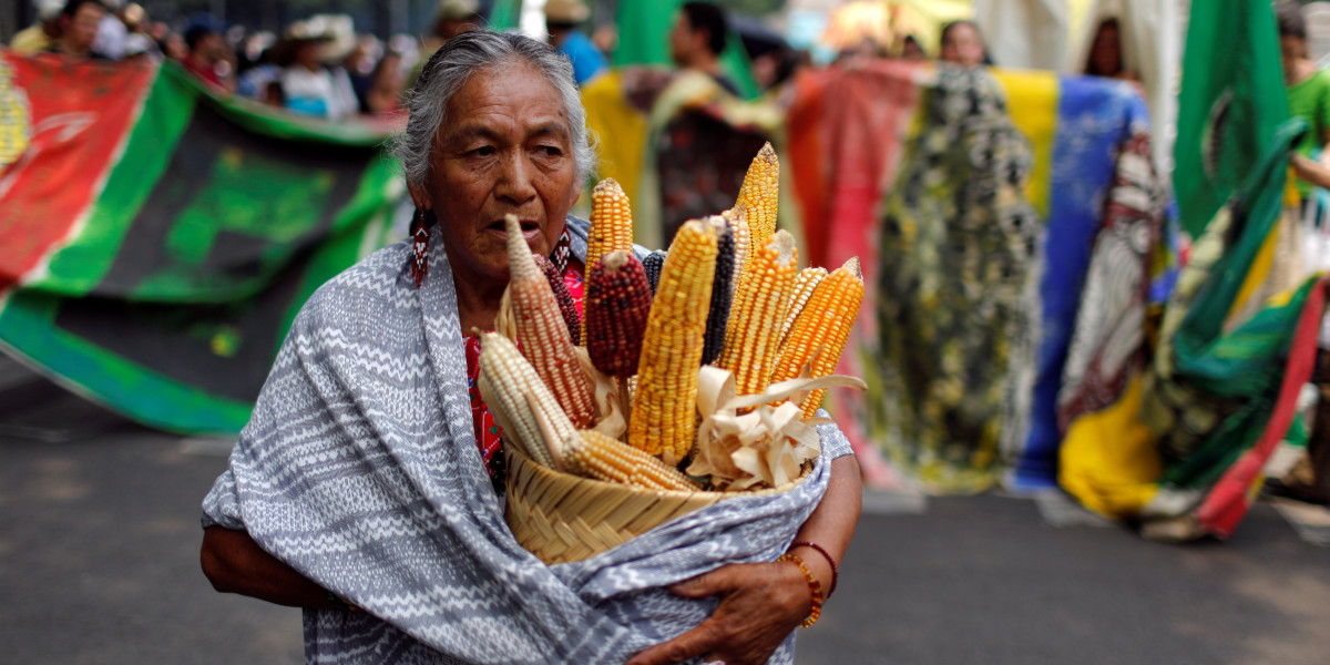 日前，有墨西哥農民手持一籃粟米，參與反孟山都的遊行。 圖片來源：REUTERS/Tomas Bravo