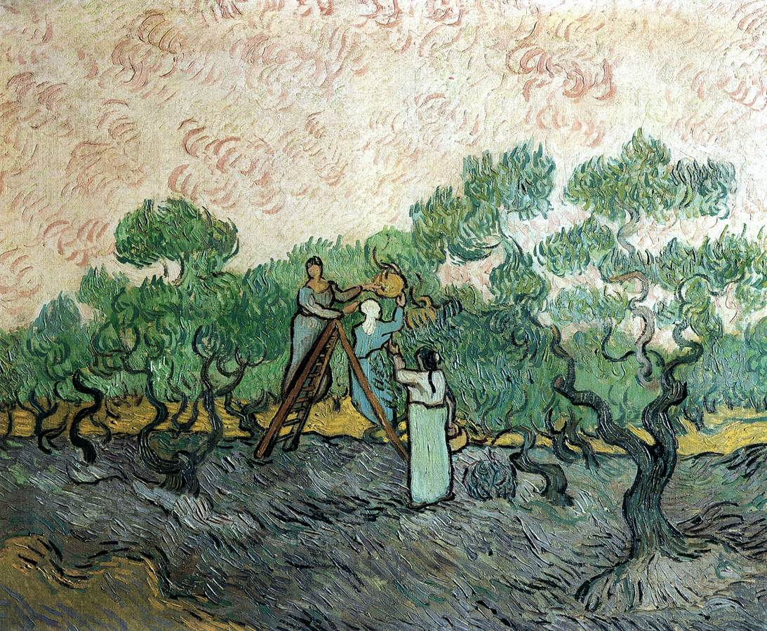 梵高畫作「摘橄欖的人」下落不明。據說最後一次出現在瑞士洛桑的倉庫中。　圖片來源：維基百科