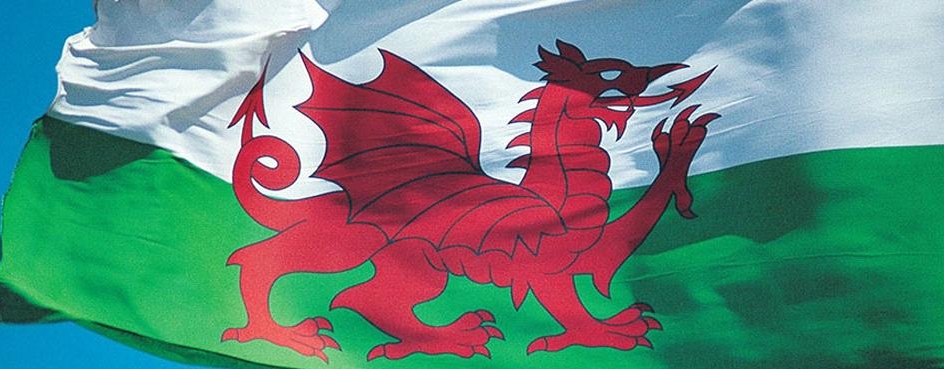 威爾斯王國國旗。圖片來源：BBC