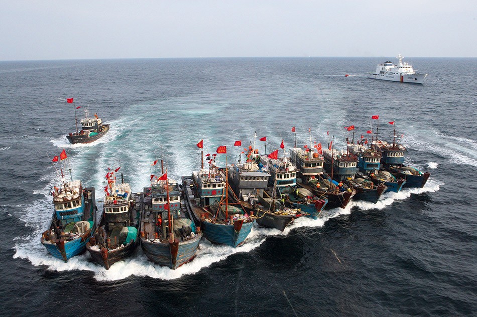 黃花魚近年來在中國海近乎絕跡，導致中國漁船到西非非法捕撈。　圖片來源：answersafrica.com