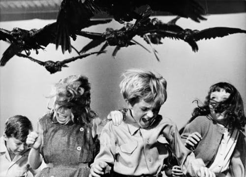 希治閣作品「鳥」的劇照，角色遭烏鴉攻擊。