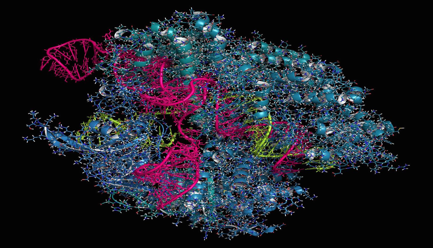 圖中為 CRISPR-CAS9 基因編輯複合物（ gene editing complex ）的影像