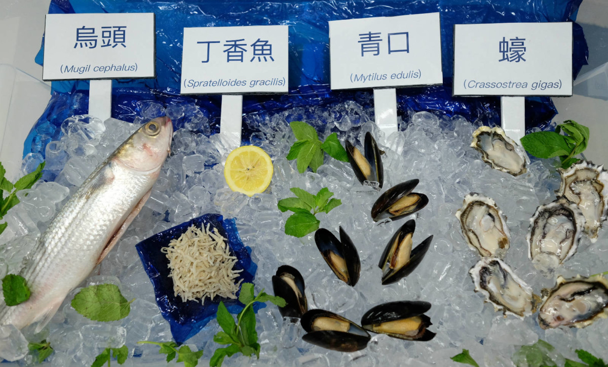 香港人常食用的海鮮，包括蠔、烏頭、丁香魚等，都被發現含有微塑膠。