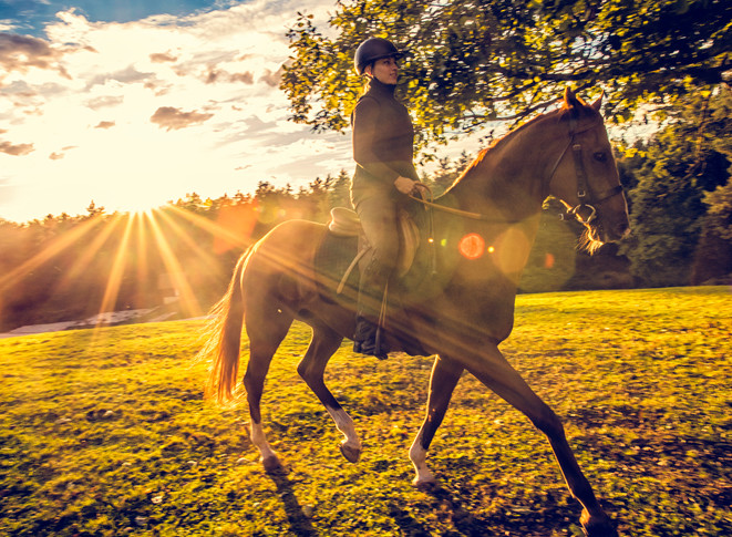 Woman with helmet riding a brown horse on a meadow beside a forest. Sun and clouds in the background. Lens flare.