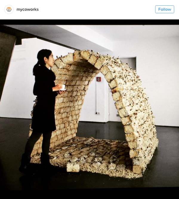 由菌絲體所構成的磚頭屋。 圖片來源： mycoworks＠instagram