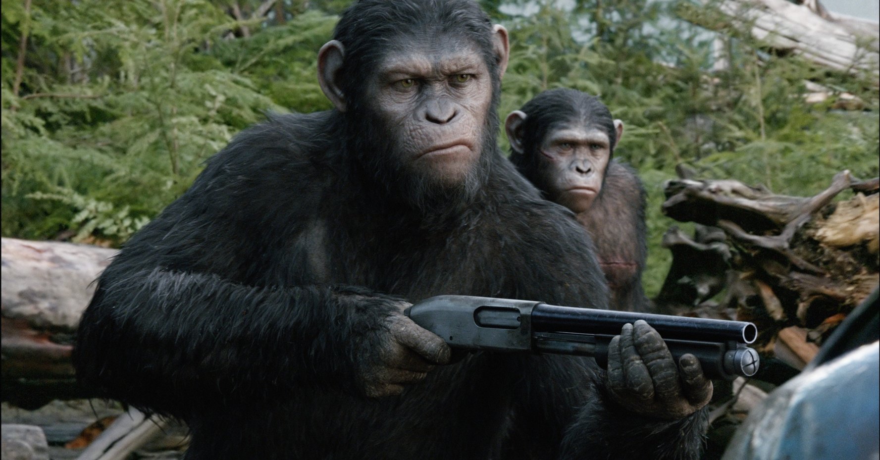 專家相信，如果猿人懂得用槍，人類將會大禍臨頭。圖片來源：電影「「猿人爭霸戰：猩凶崛起」劇照