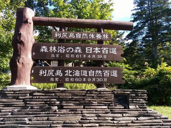 利尻島自然休養林是日本「百大森林浴」之一。　圖片來源：jalan.net