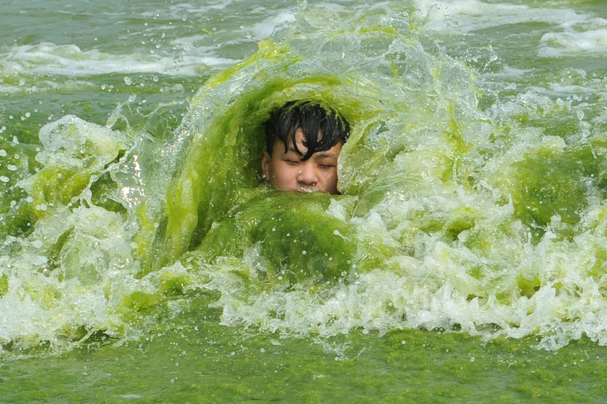 這位同學，又是否會因這條河而對海藻類有更大認知，成為一位科學家？　圖片來源：路透社