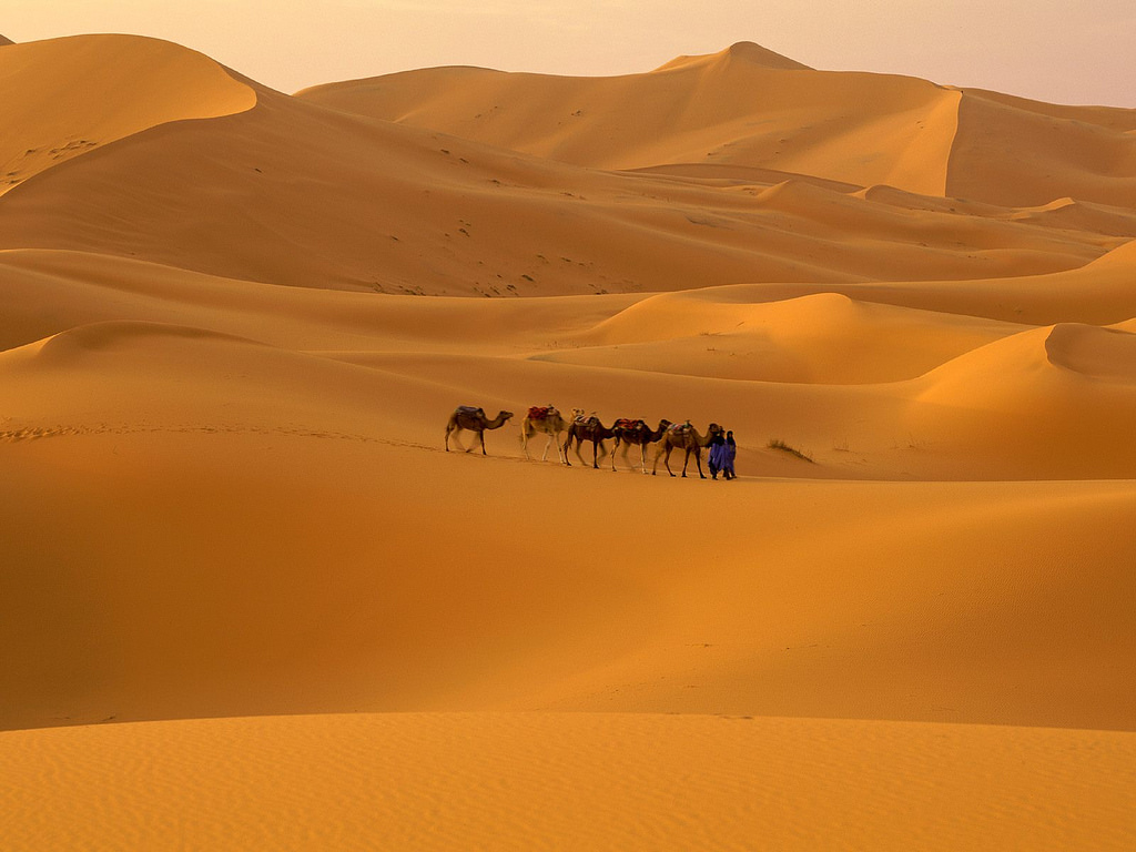 撒哈拉沙漠，竟由人類所創？
