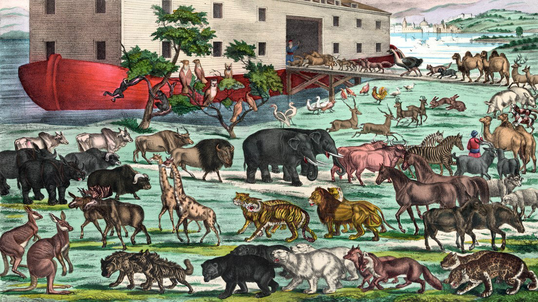 根據聖經記載，一對對動物，秩序井然地排隊登上挪亞方舟，這是人類早期的排隊描述之一。