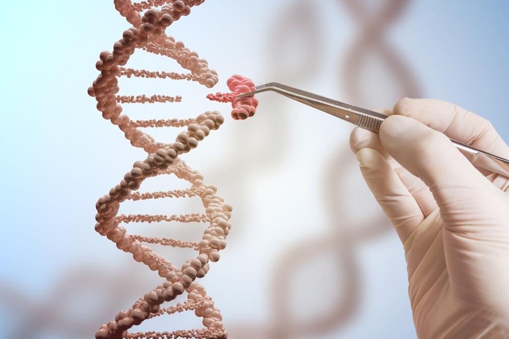 基因改造技術如要應用於人類，有何方面要注意？