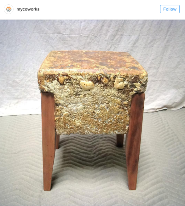 以菌絲體製作的家具 圖片來源： mycoworks＠instagram