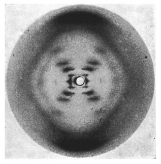 解開 DNA 之謎的「第 51 張照片」。 圖片來源：wikimedia