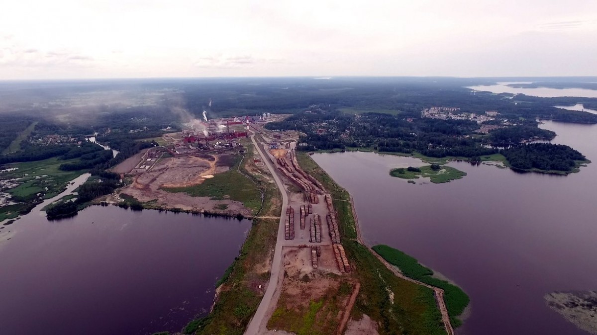 俄羅斯西北面 Vyborg 的大型木顆粒廠。　圖片來源：Birdlife