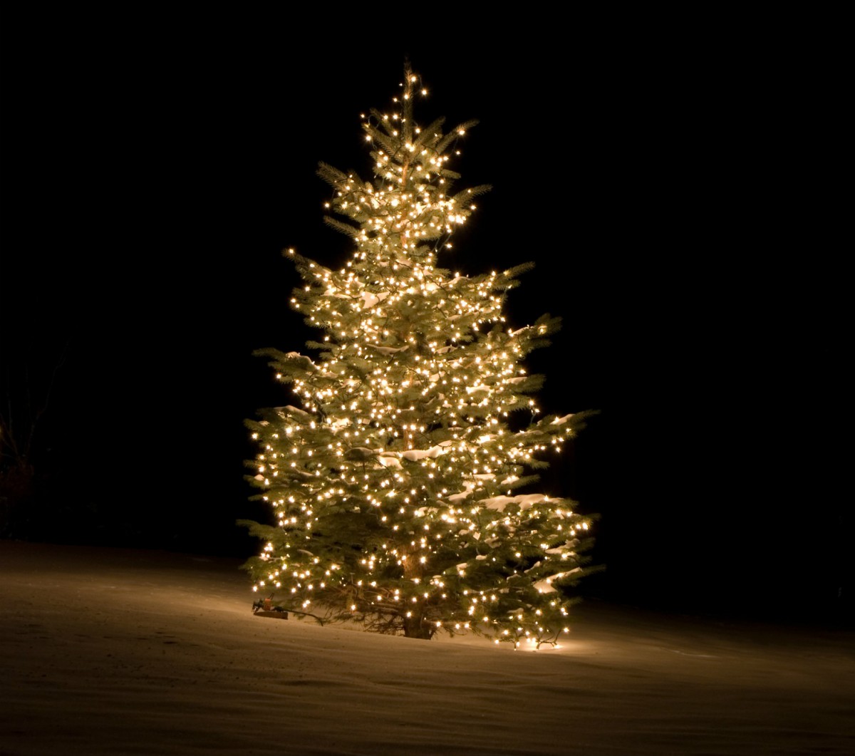 噢聖誕樹，噢聖誕樹。