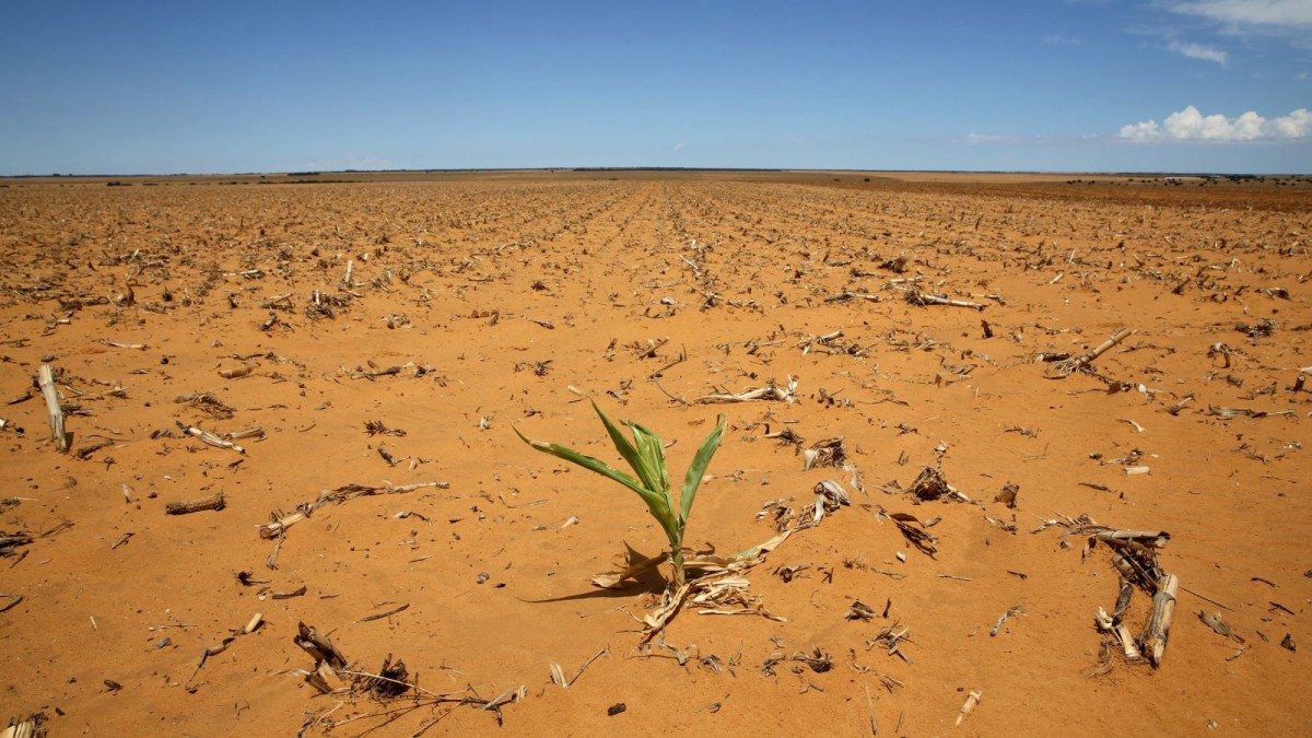 氣候變化帶來非洲各地旱災，農作歉收又造成大遷徙。　圖片來源：路透社