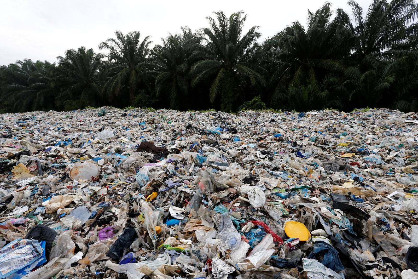 塑膠廢物破壞生態環境